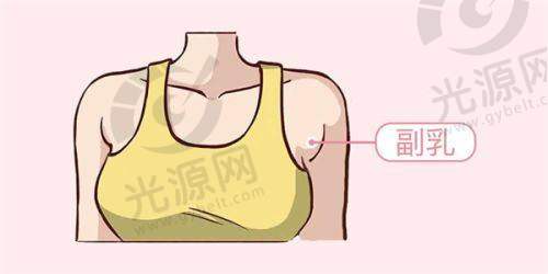 总结与展望