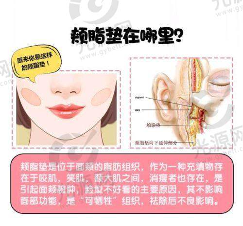 46岁能做鼻综合吗总结与展望