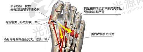 广州广大整形医院项目价格