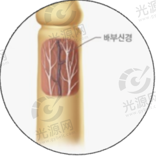 深圳八大处整形医院预约方式