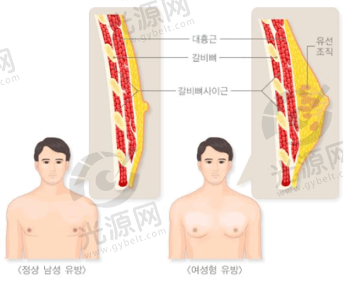深圳八大处整形医院营业时间
