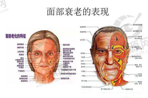 广州荔医医疗美容门诊部医生团队