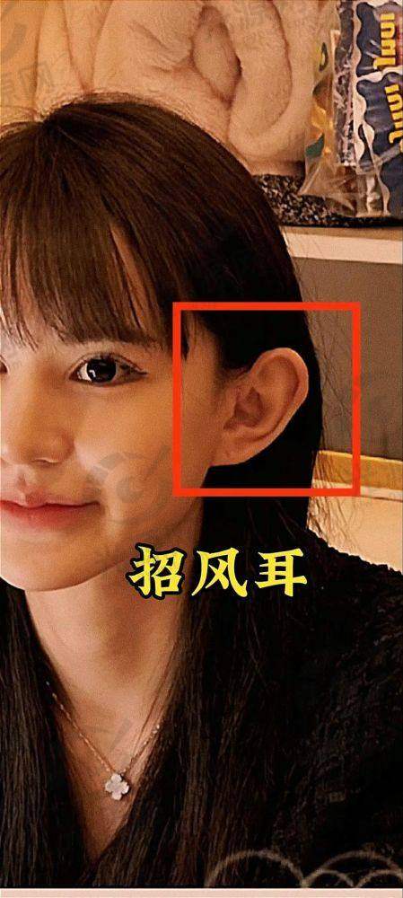 总结与建议