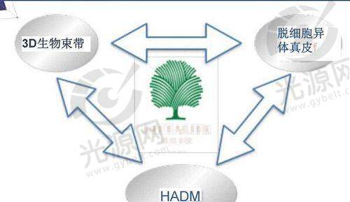上海虹桥医院疤痕科医生团队