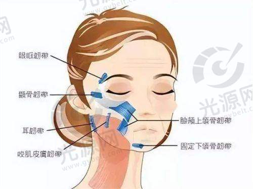 上海虹桥医院来院路线