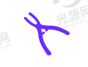 干槽症伤口图片的自我护理与预防方法
