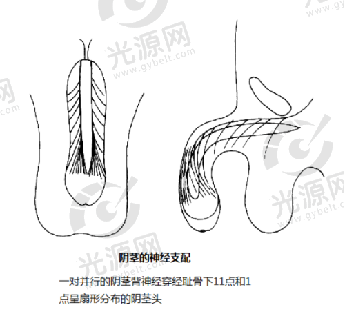 深圳宝丽医疗美容门诊部项目价格