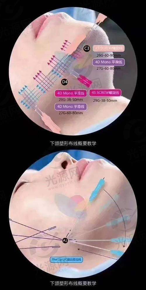 总结与展望