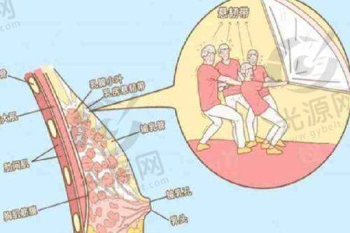 自体脂肪隆胸的术后注意事项