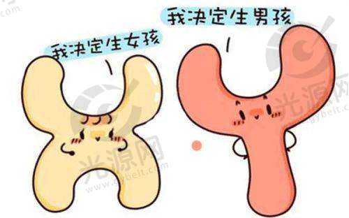 泰国变性手术询问电话