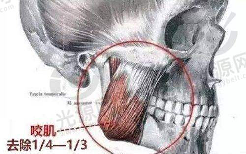 总结——重温崔海燕医生的影响力