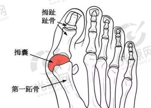 四、通用在线预约挂号快捷通道攻略