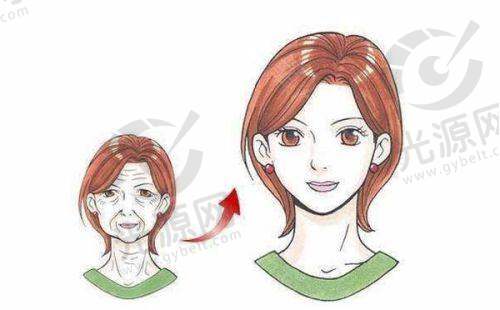 总结：德美假体多少钱的真正意义