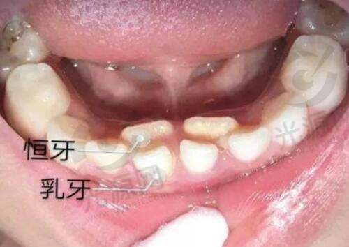 广州丽合医疗美容医院预约方式