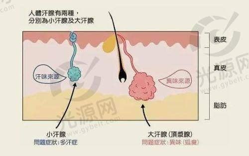 深圳南雅医疗美容门诊部地址