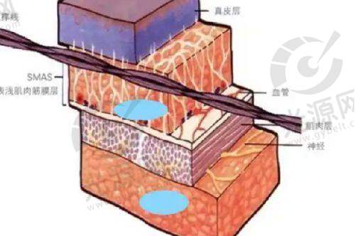 三、医院口碑如何:真实实例分享