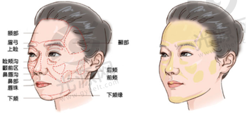 5. 上海伯思立医疗美容门诊部