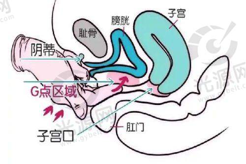 北京加减美大拉皮手术的项目及价格