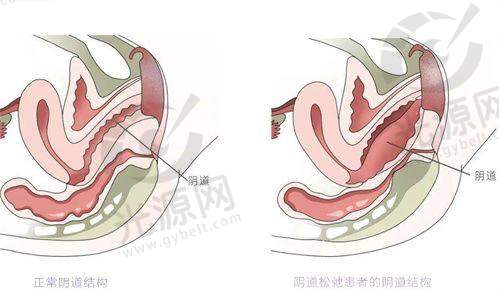 特色项目:多样选择满足不同需求