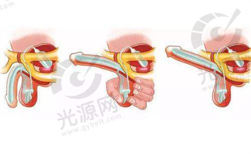 就诊指南与省钱技巧