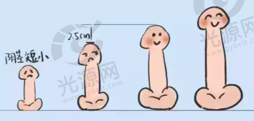 植发项目:医生与技术特色
