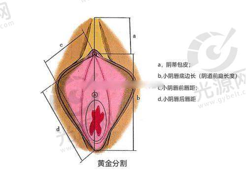 杜太超擅长项目:拉皮提升、鼻子、双眼皮手术全方面开花