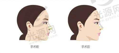 总结与建议