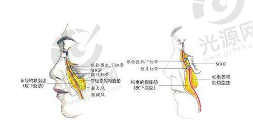 患者真实评价:口碑见证实力