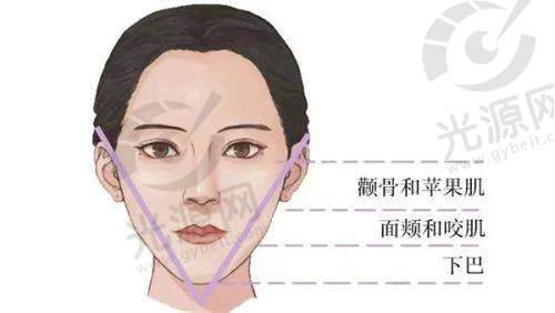 医生团队:实力雄厚引领行业潮流
