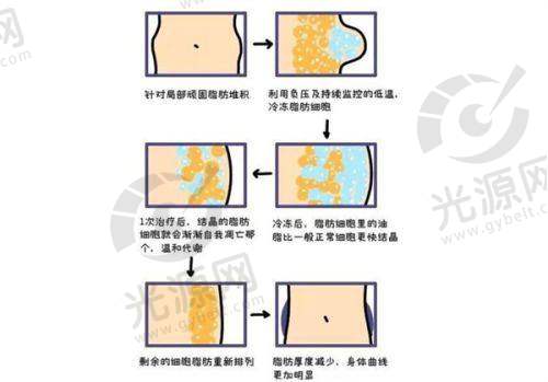 擅长项目介绍