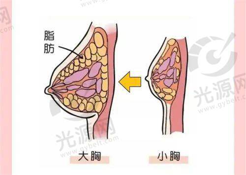 适合人群