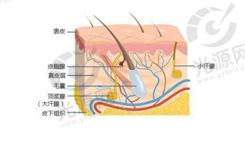 医生团队:实力雄厚,技术不错