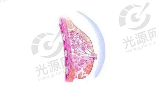 杭州赫瑞拉整形怎么样？了解赫瑞拉医疗美容效果与用户反馈
