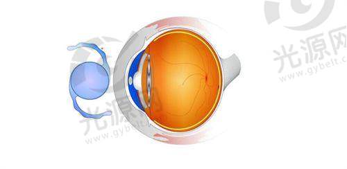 适应症与禁忌症