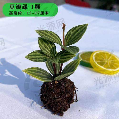 联系与服务