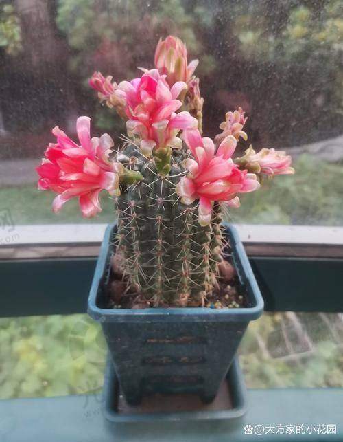 各院区特色与收费