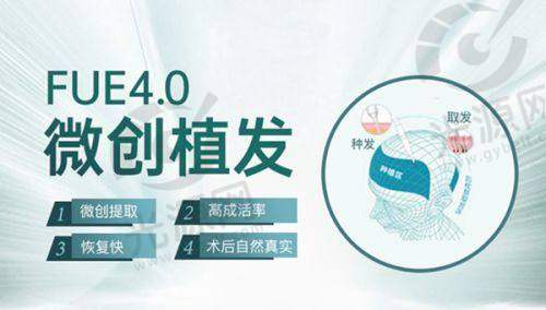 总结与询问引导