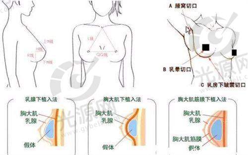 北京纯脂的服务与价格